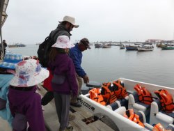 Expédition aux Islas Ballestas